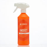 Insect