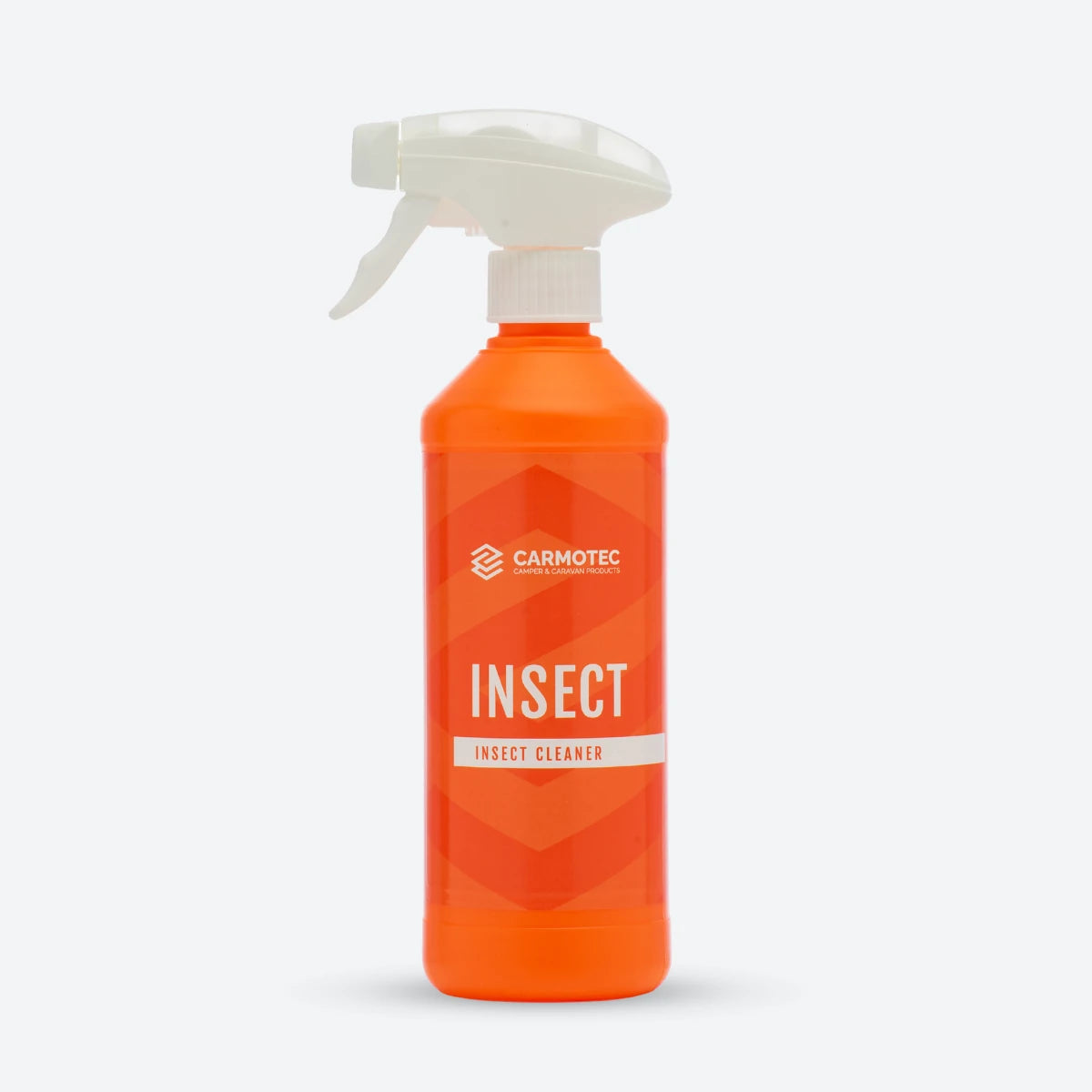 Insect