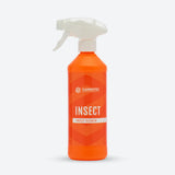 Insect